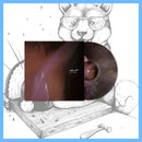 DK156/LHL023: Naedr - Past Is Prologue 12" LP