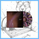 DK156/LHL023: Naedr - Past Is Prologue 12" LP