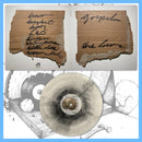 DK163: Gospel - The Loser 12" LP