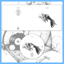 DK012/CD: Beau Navire - Hours CD