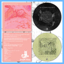 DK142: Disembarked - Everything's Wrong 12" LP