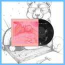 DK142: Disembarked - Everything's Wrong 12" LP