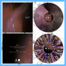 DK156/LHL023: Naedr - Past Is Prologue 12" LP