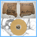 DK163.2: Gospel - The Loser 12" LP