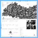 DK165: downy - untitled 7 2x12" LP