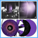 DK177: Southtowne Lanes - Take Care 12" LP - Go Cold /50