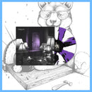 DK177: Southtowne Lanes - Take Care 12" LP