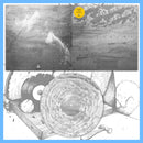 DK184: Beau Navire - Lumens 12" LP