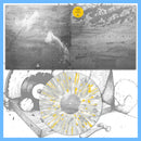 DK184: Beau Navire - Lumens 12" LP