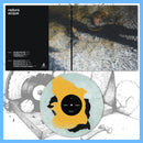 DK193: Radura - ACQUE 12" LP - PRE-ORDER
