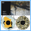 DK193: Radura - ACQUE 12" LP - PRE-ORDER