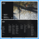 DK193: Radura - ACQUE 12" LP - PRE-ORDER