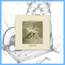 Ostraca - Disaster 12" LP