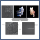 The Evpatoria Report - Golevka 2x12″ LP - PRE-ORDER