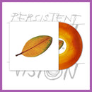 La Quiete - La Fine Non è La Fine 12" LP