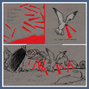 Totorro - All Glory To John Baltor 12″ LP