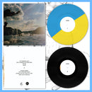 DK084: Nudes - Nudes 12" LP