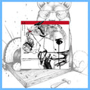 Swarrrm / Kamomekamome - Split 12" LP