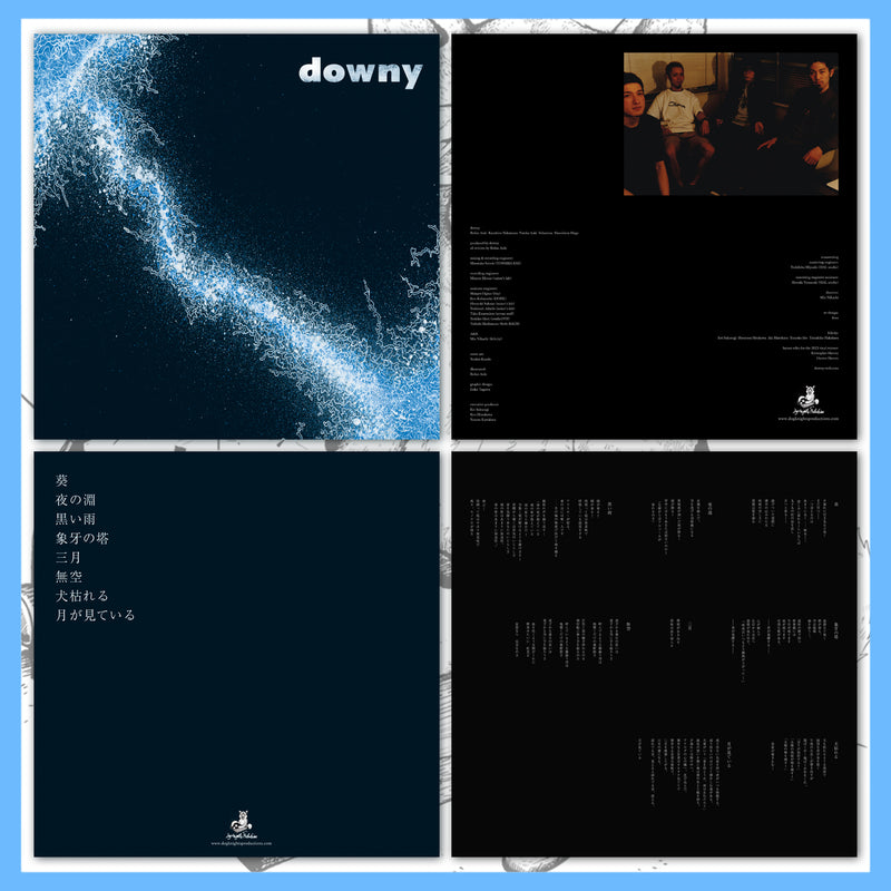 *USA/CAN ONLY* DK168: downy - untitled 2 12" LP