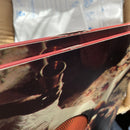 DK126: State Faults - Clairvoyant 12" LP