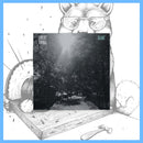 Expert Timing - Glare 12" LP